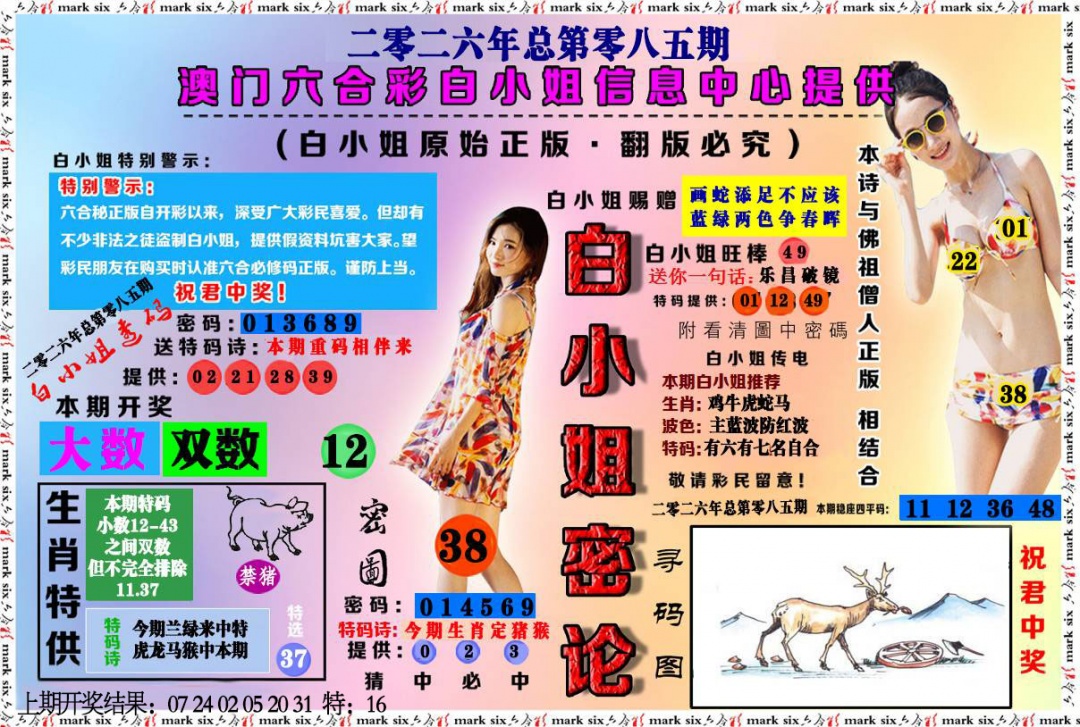 085期白小姐密论[图]